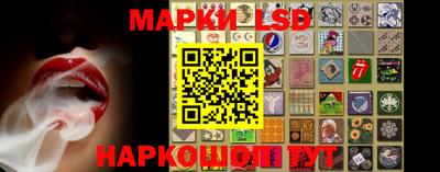 индика Владикавказ
