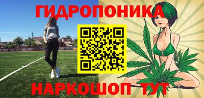 гашик Владивосток