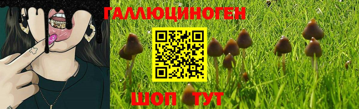Псилоцибиновые грибы Magic Shrooms Первоуральск
